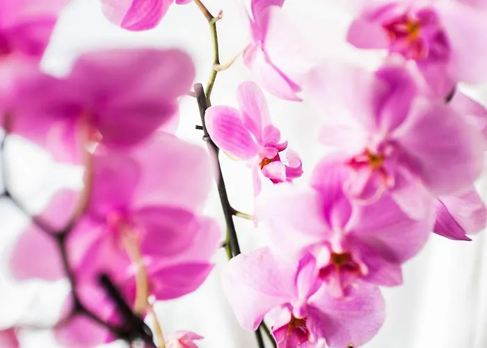 City Rooms Szczecin Bed & Breakfast Szczecin